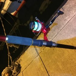 イワシ、アジ、サバ